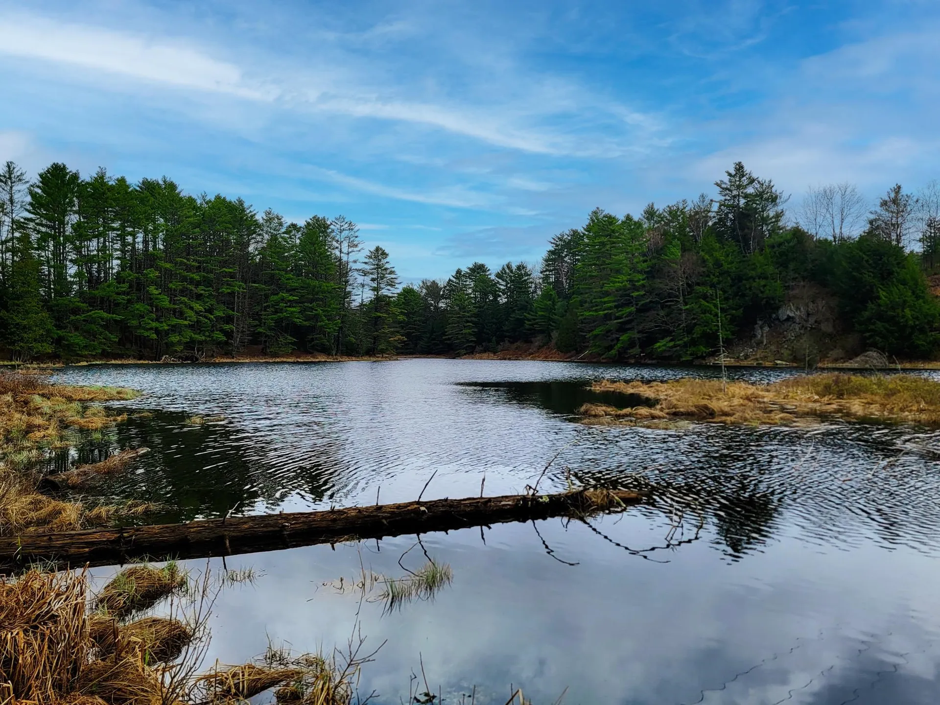 2775 Symes Pond Road Ryegate VT 05042