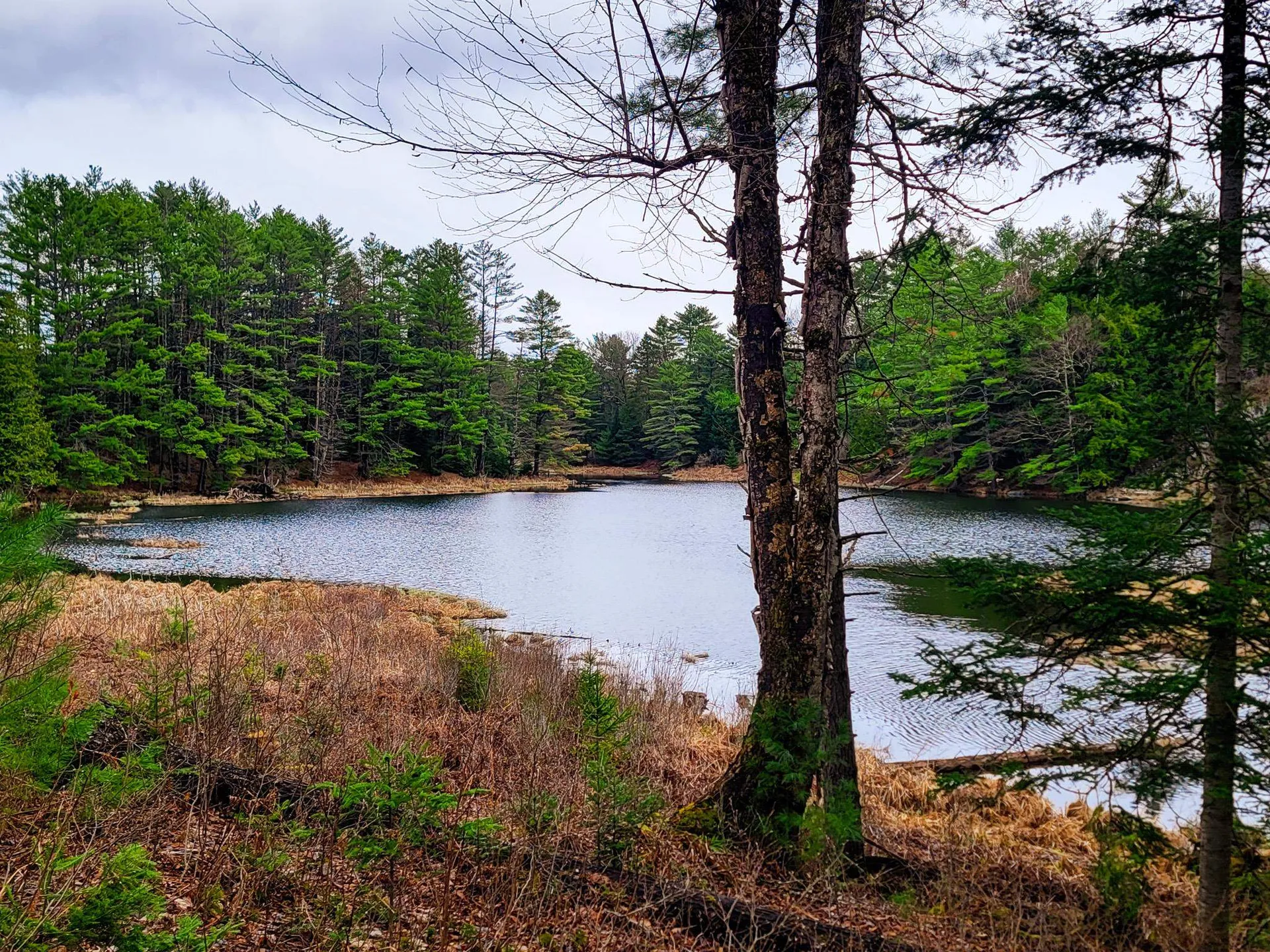 2775 Symes Pond Road Ryegate VT 05042