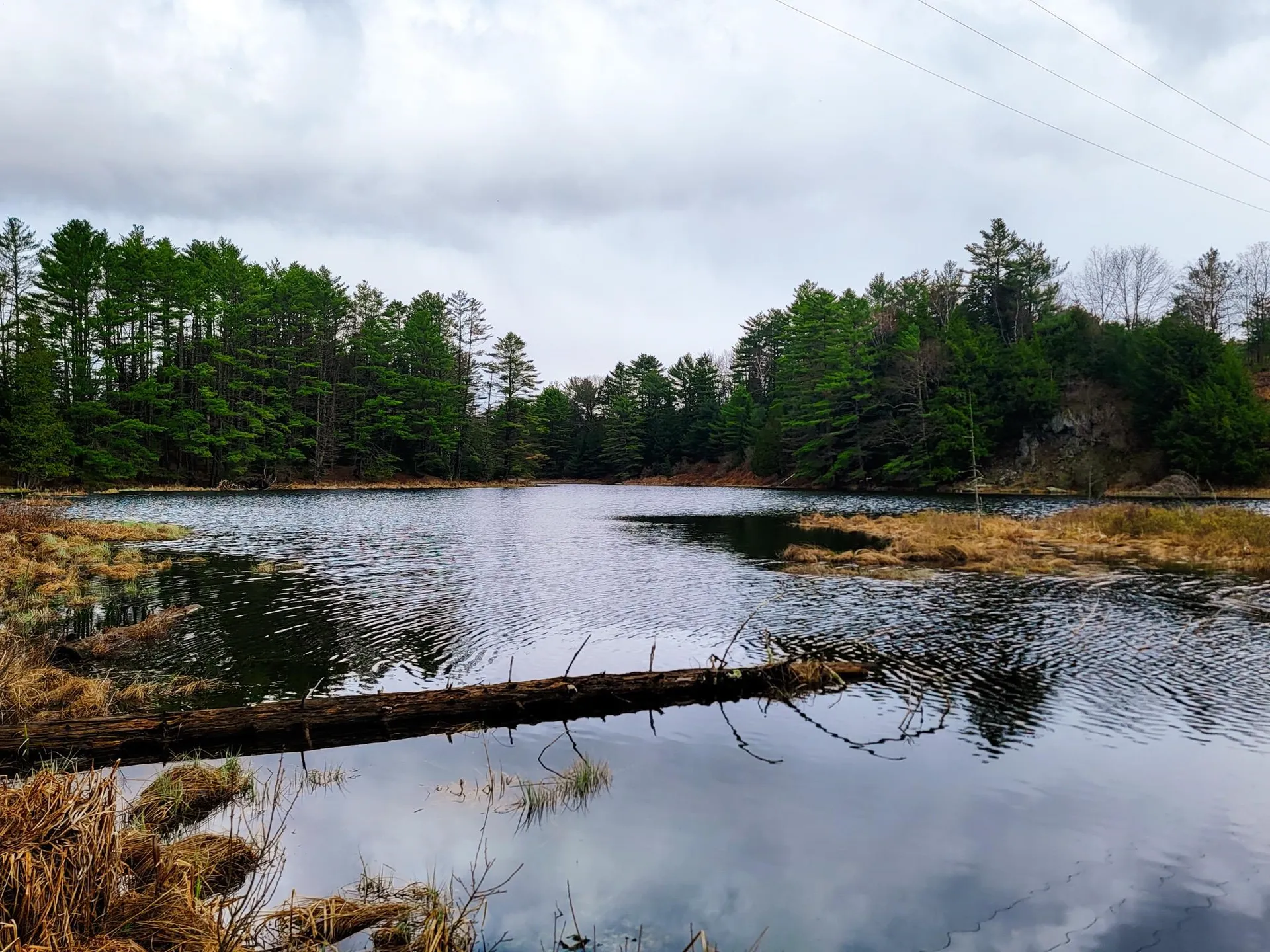 2775 Symes Pond Road Ryegate VT 05042