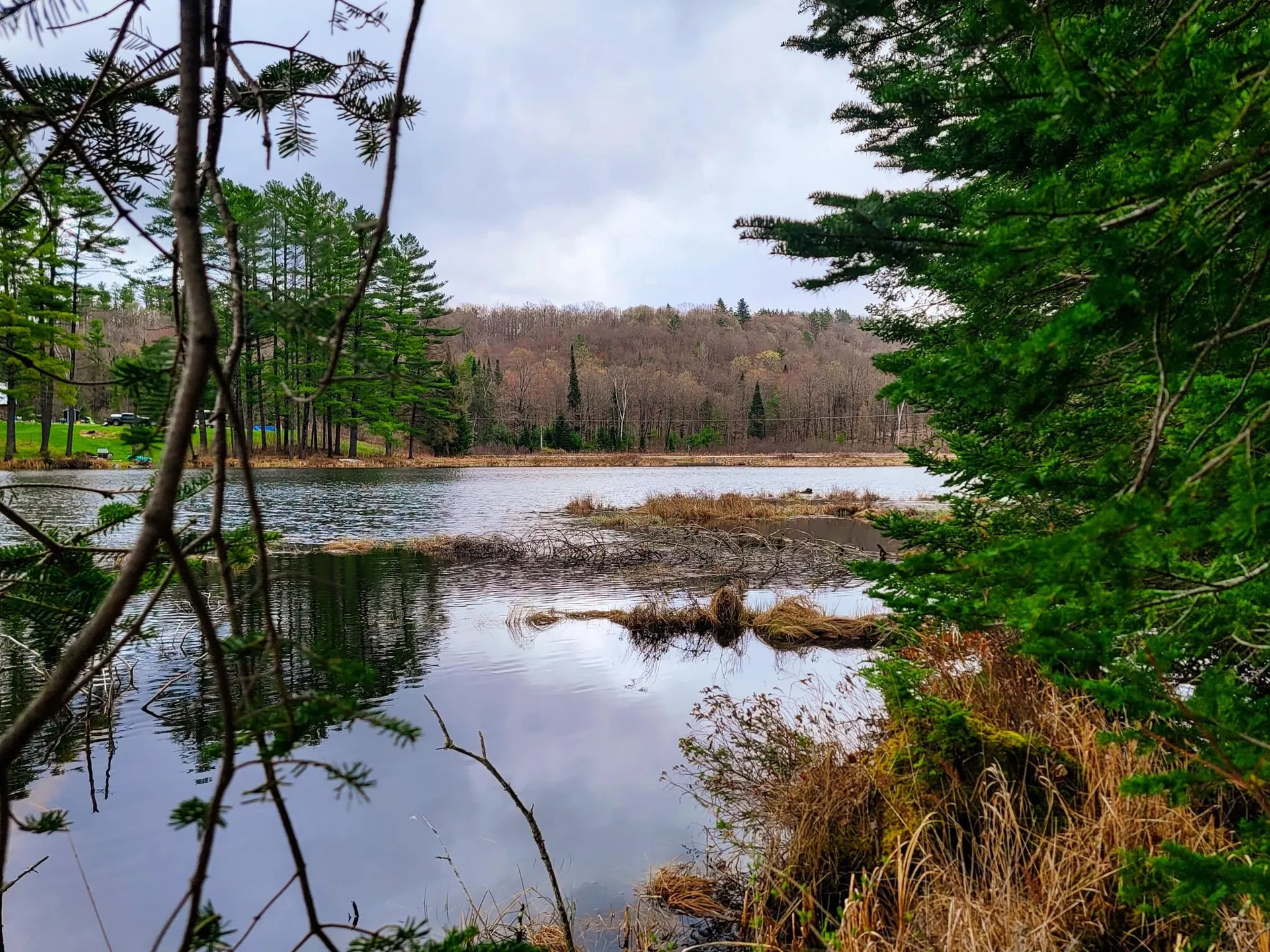 2775 Symes Pond Road Ryegate VT 05042