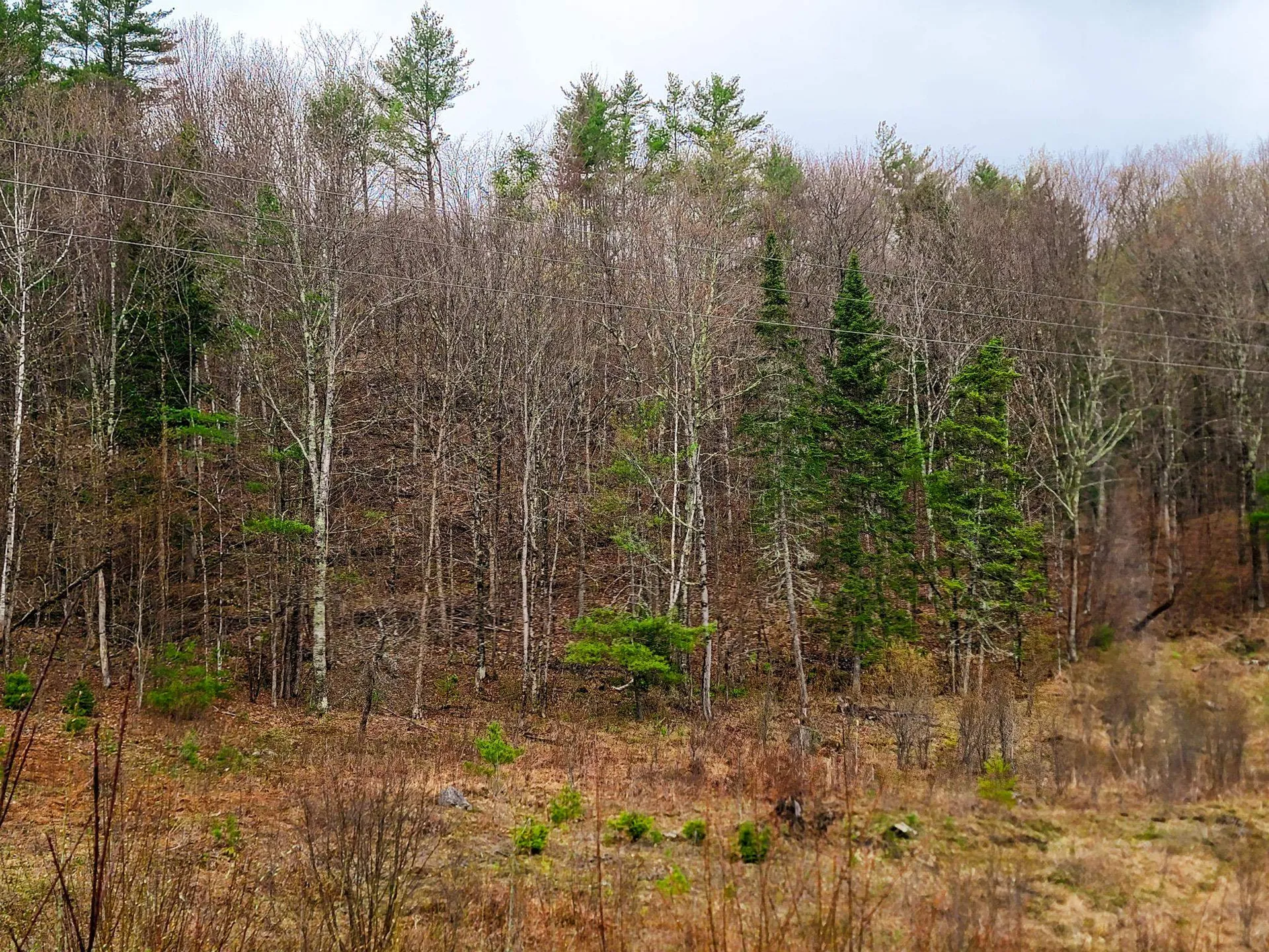 2775 Symes Pond Road Ryegate VT 05042