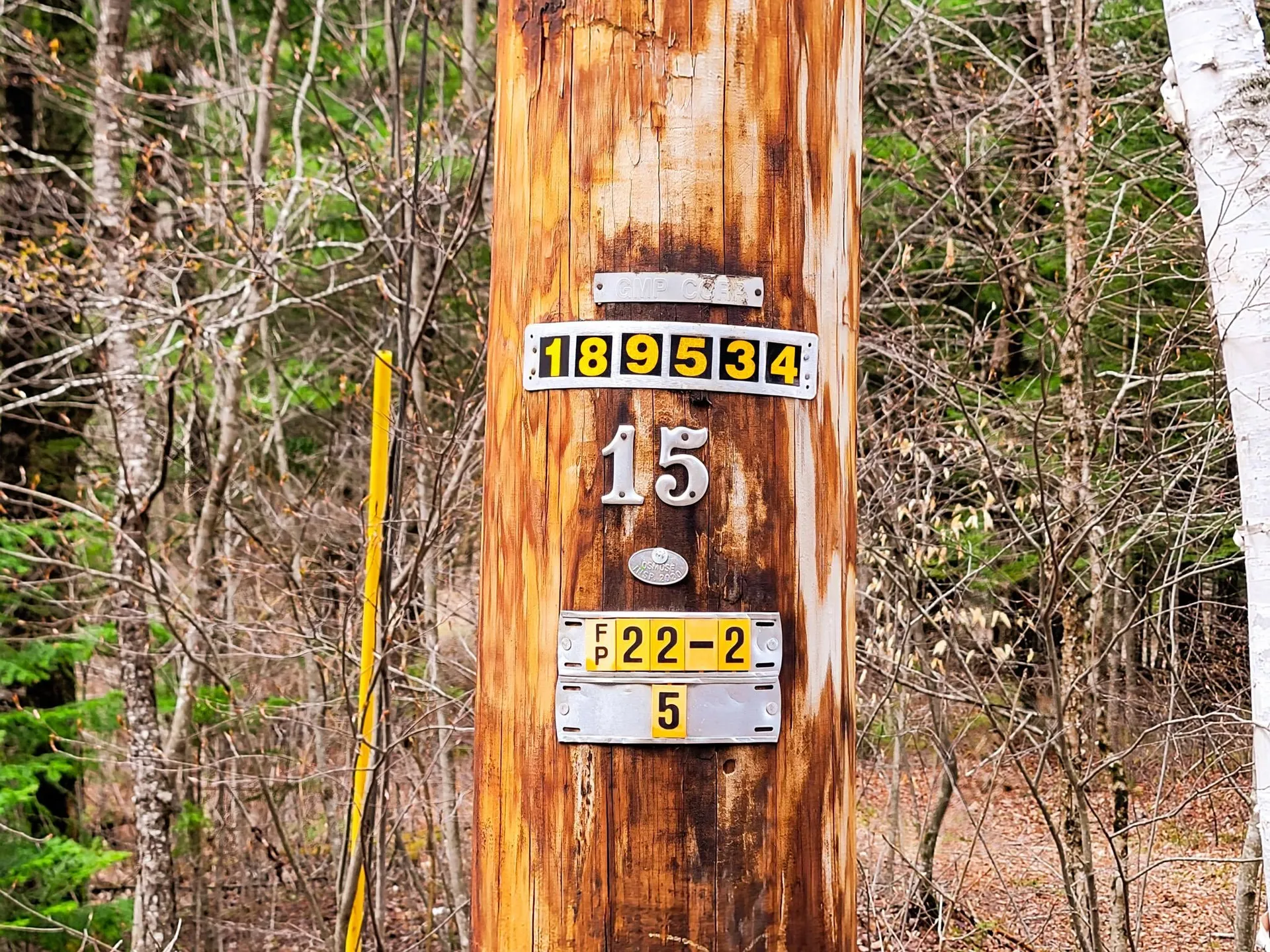 2775 Symes Pond Road Ryegate VT 05042