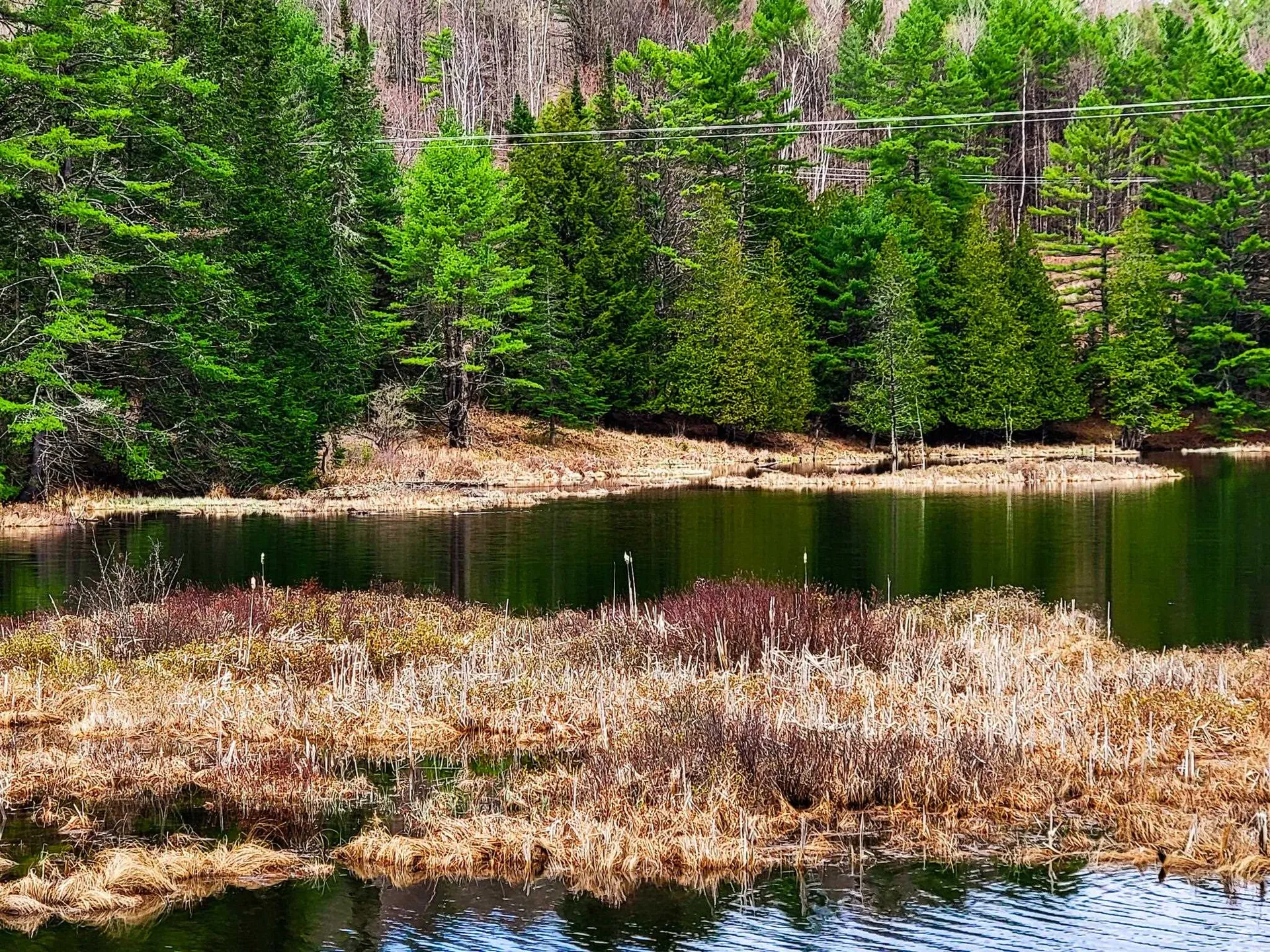 2775 Symes Pond Road Ryegate VT 05042