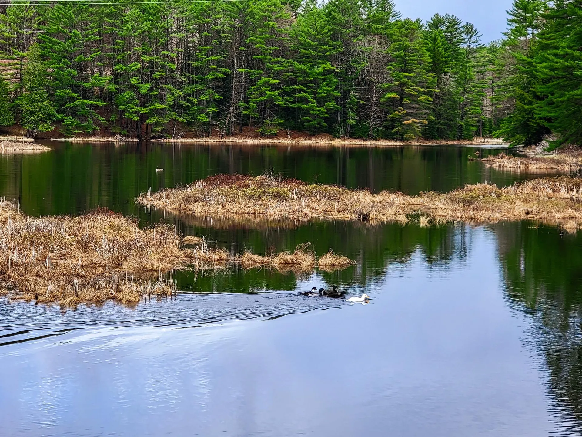 2775 Symes Pond Road Ryegate VT 05042