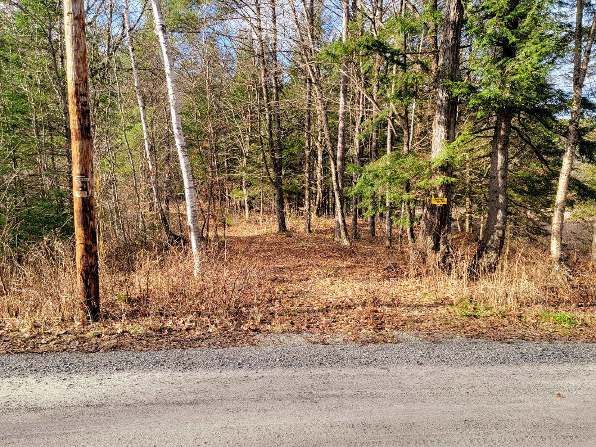 2775 Symes Pond Road Ryegate VT 05042