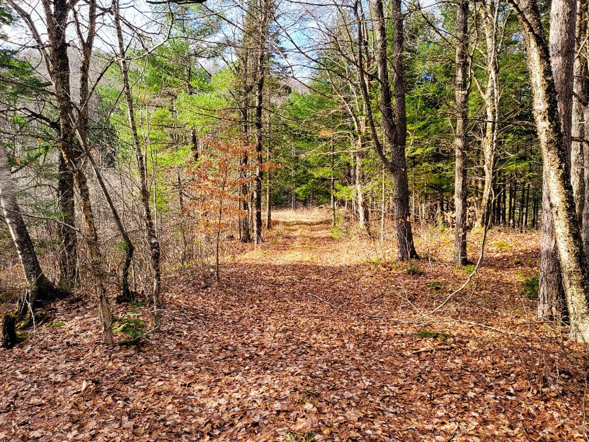2775 Symes Pond Road Ryegate VT 05042