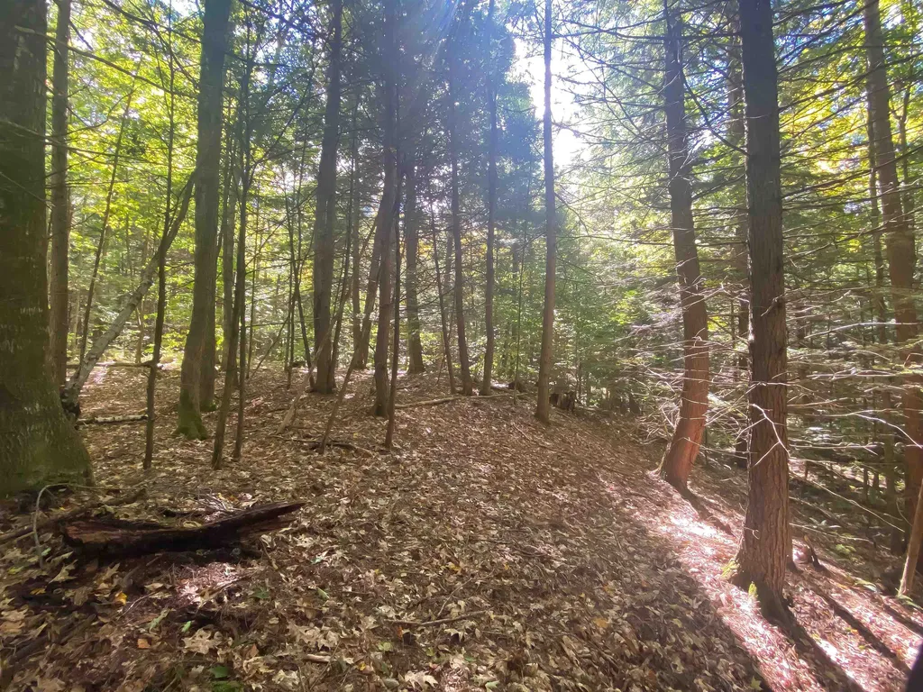 0 Methodist Hill Road Plainfield NH 03781