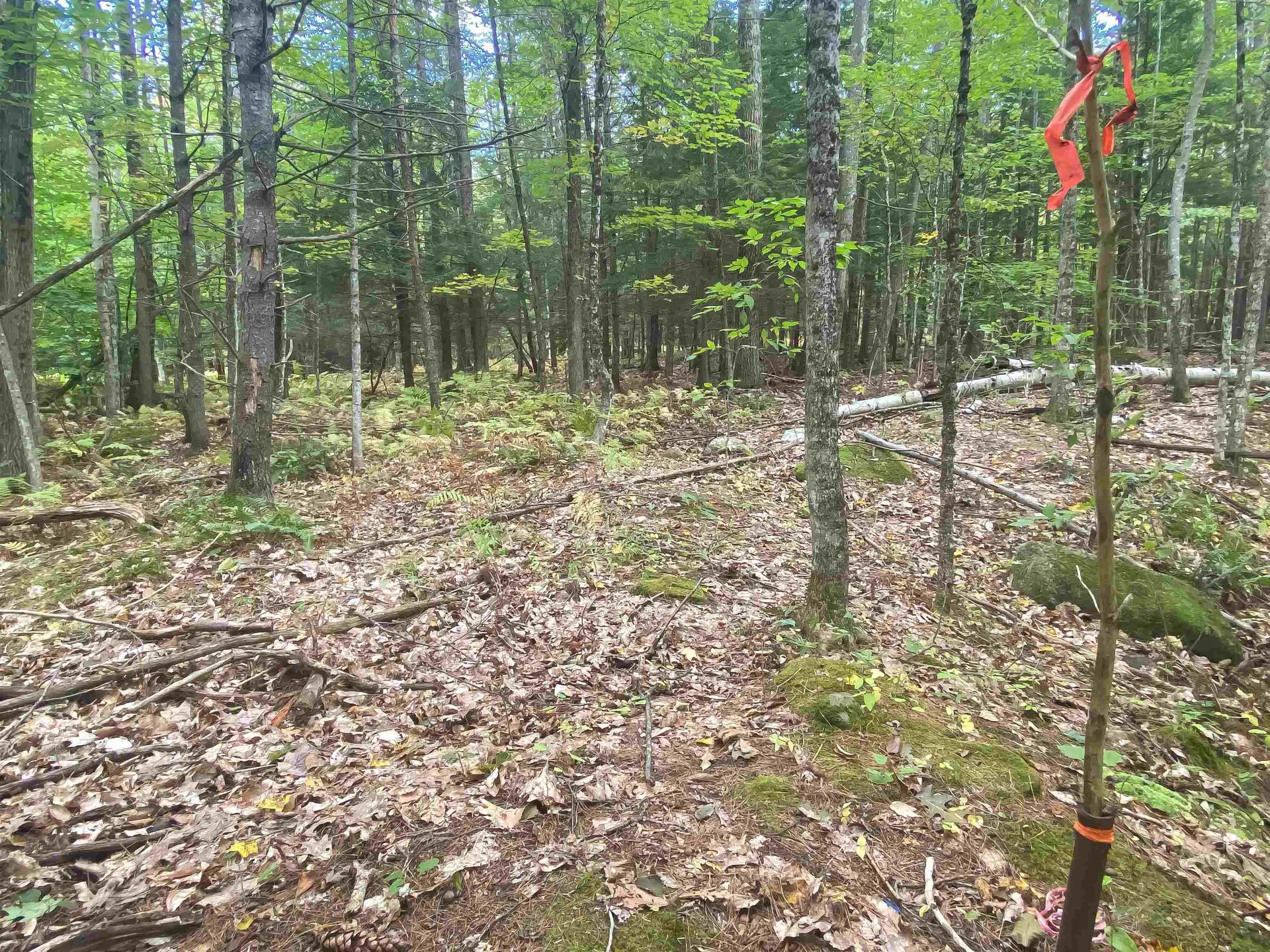 0 Methodist Hill Road Plainfield NH 03781