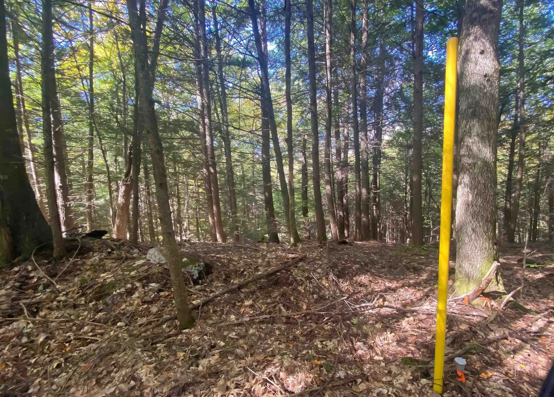 0 Methodist Hill Road Plainfield NH 03781