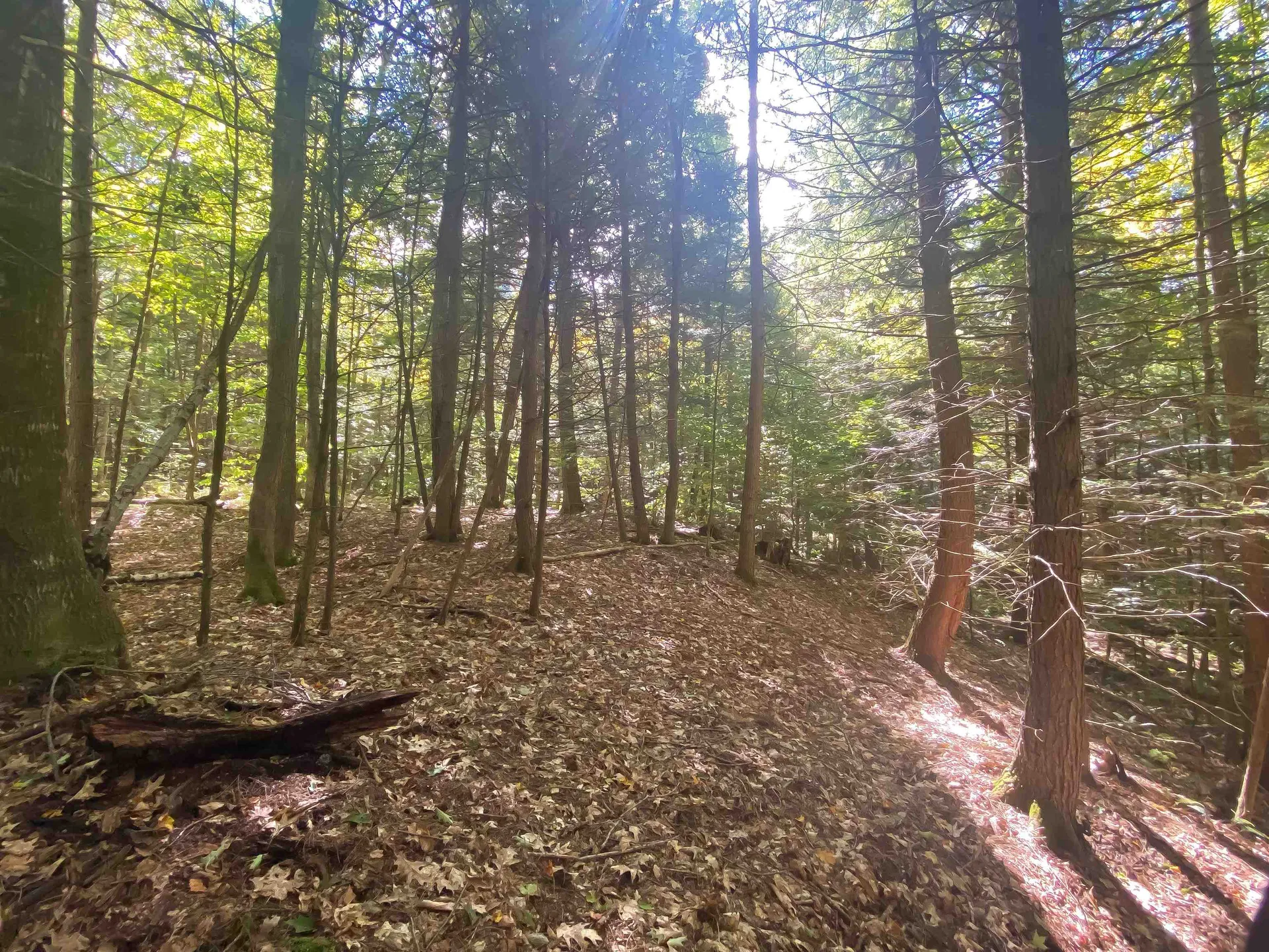 0 Methodist Hill Road Plainfield NH 03781