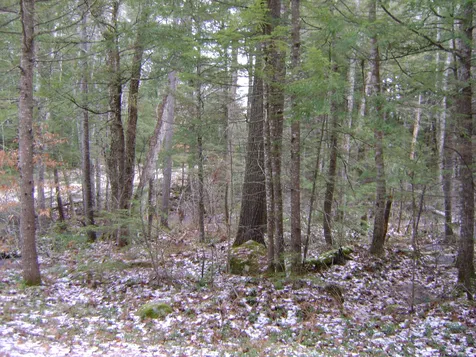 0 Spitzen Street Moultonborough NH 03254