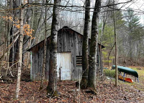 398 Demaio Lane Danville VT 05828