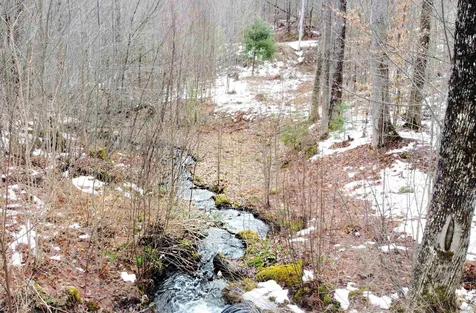 398 Demaio Lane Danville VT 05828