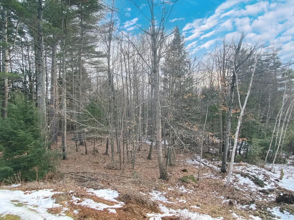 49 Washington Circle Hillsborough NH 03244