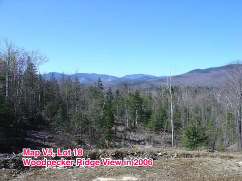 V5-18 Woodpecker Ridge Road Jackson NH 03846