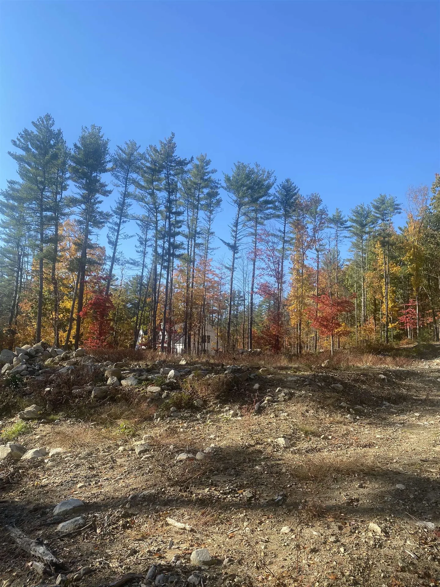 133 Wilson Hill Road Merrimack NH 03054