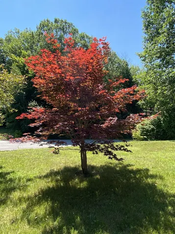 35 Valley Drive Gilford NH 03246