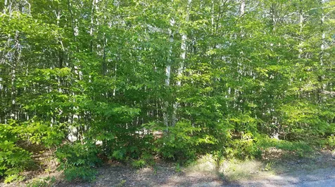 West Ledge Road Bartlett NH 03838