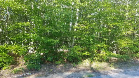 West Ledge Road Bartlett NH 03838