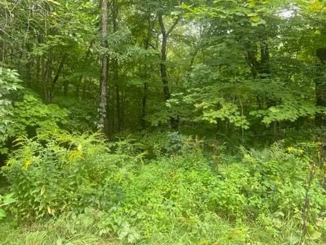 40 Route 16b Ossipee NH 03864