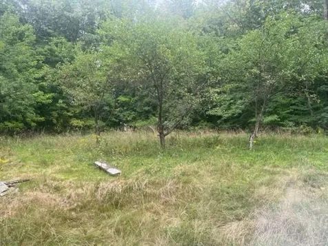 40 Route 16b Ossipee NH 03864