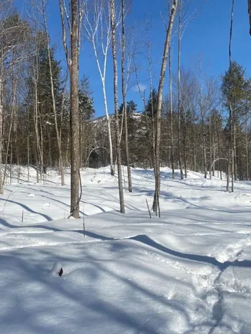 85 Old Route 25 Rumney NH 03266