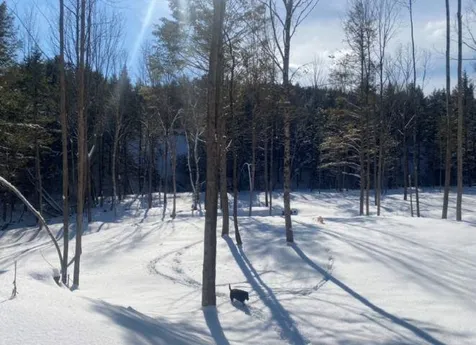 85 Old Route 25 Rumney NH 03266