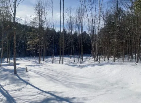 85 Old Route 25 Rumney NH 03266