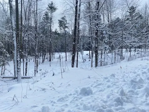 85 Old Route 25 Rumney NH 03266