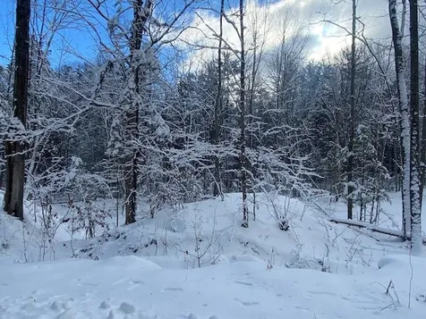 85 Old Route 25 Rumney NH 03266