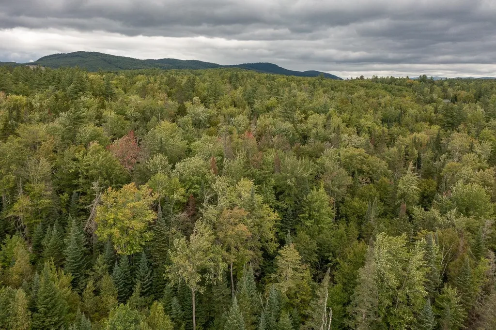 406-03 W Forest Lake Road Bethlehem NH 03574