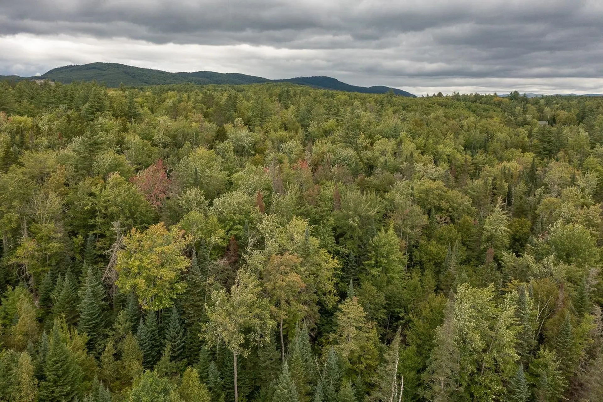 406-03 W Forest Lake Road Bethlehem NH 03574