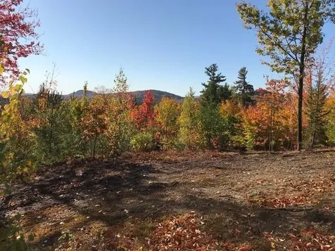 75 Walker Hill Road Ossipee NH 03864