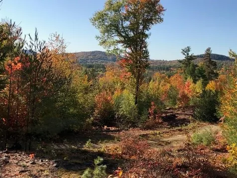 75 Walker Hill Road Ossipee NH 03864