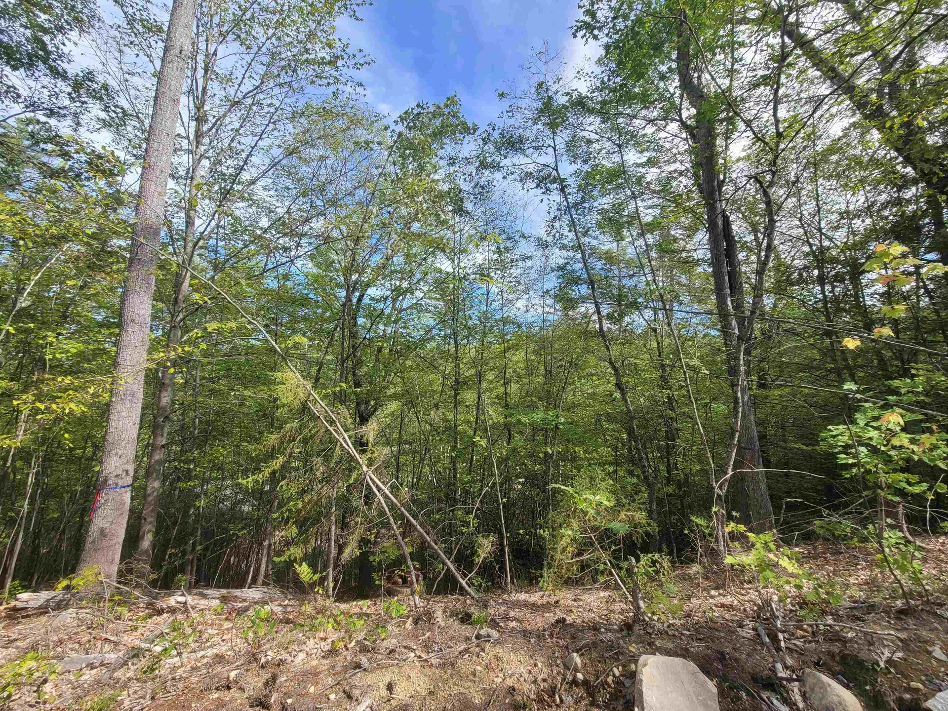 00 Altitude Overlook Conway NH 03818