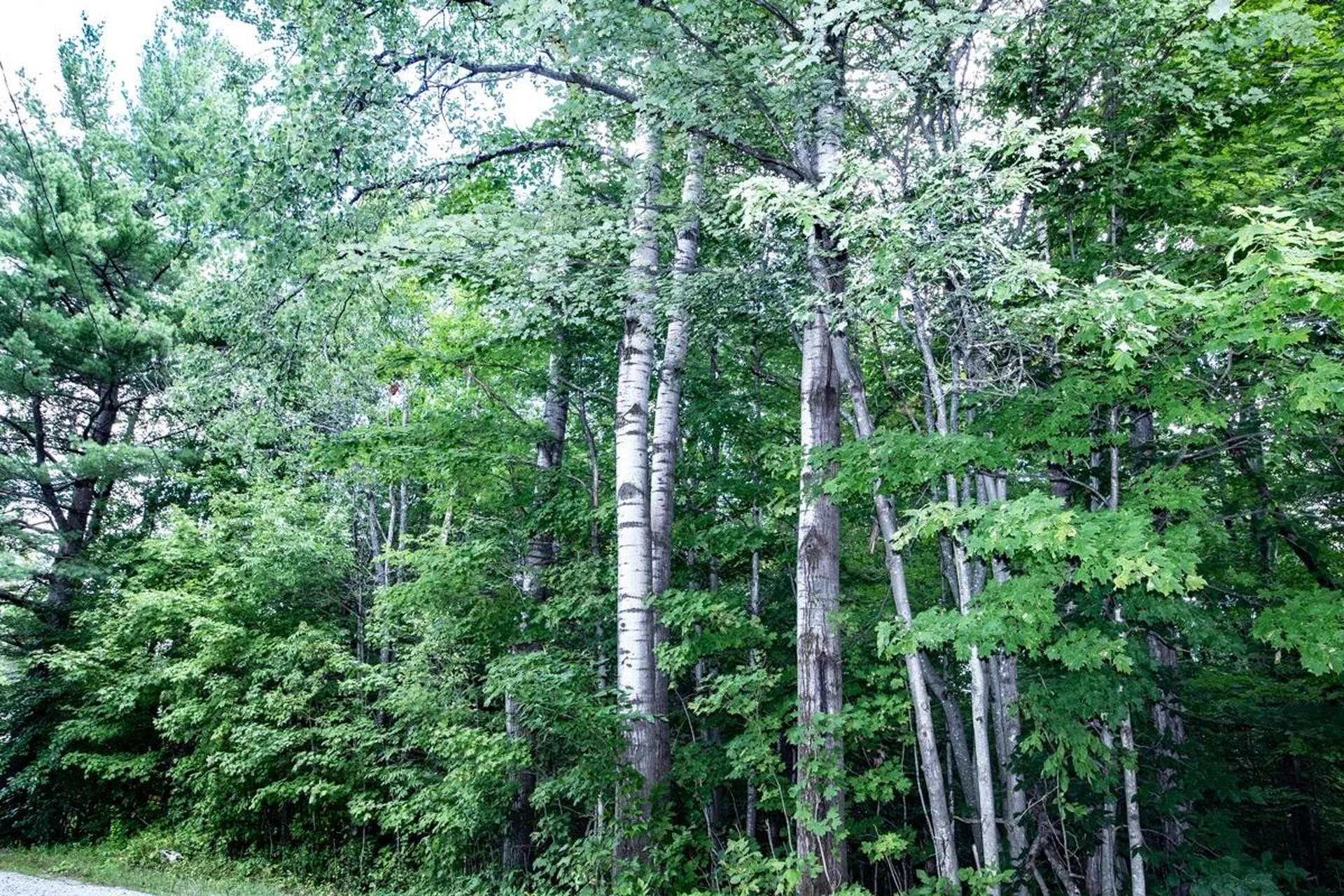 00 Okemo Acres Road Ludlow VT 05149