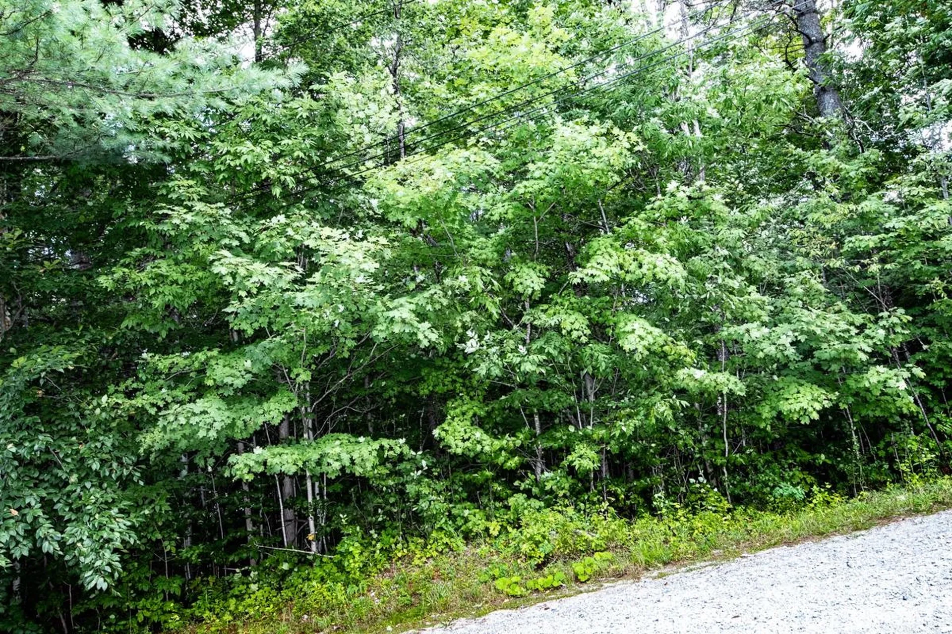 00 Okemo Acres Road Ludlow VT 05149