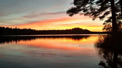 66 Acorn Point Drive Barrington NH 03825