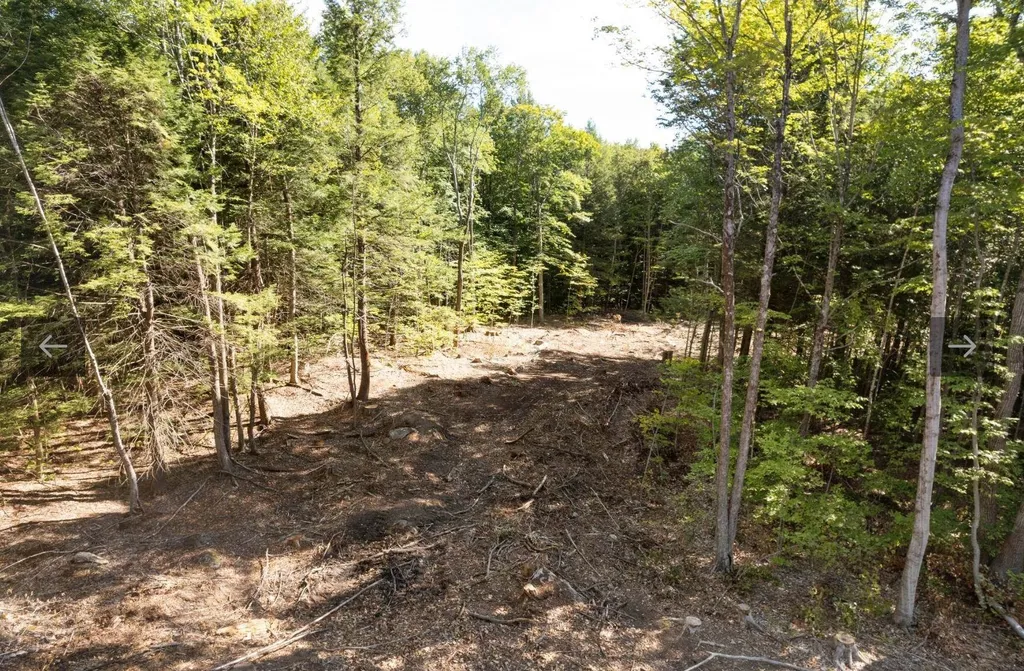 17 Mccarron Road Deerfield NH 03037
