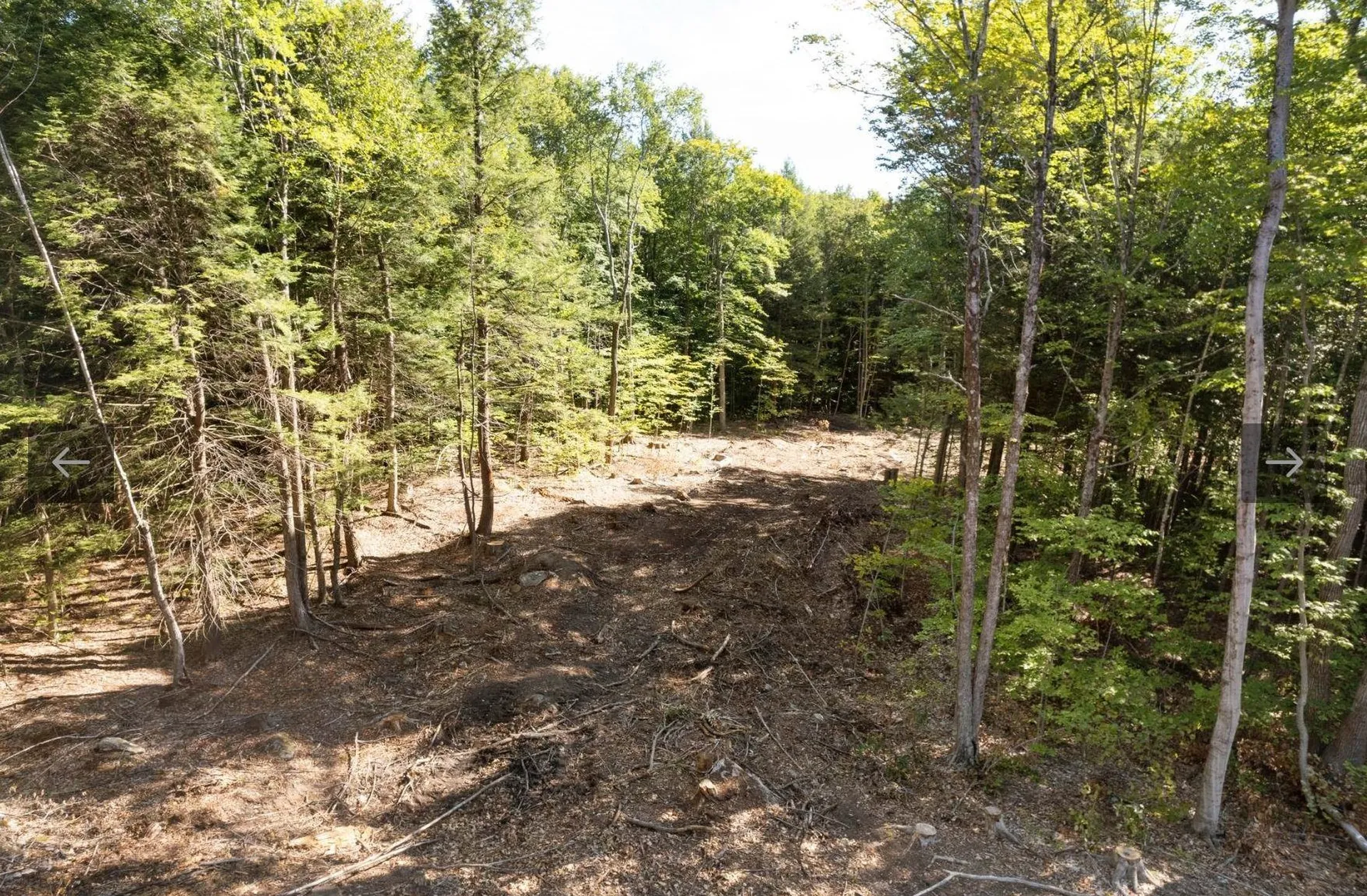 17 Mccarron Road Deerfield NH 03037