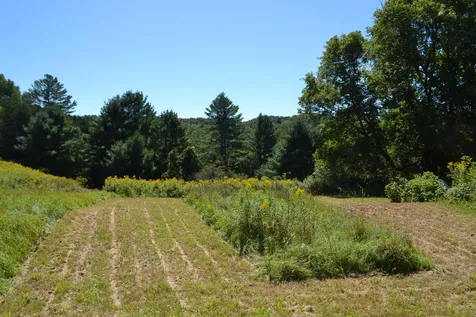 Lot B Gallison Hill Road Montpelier VT 05602