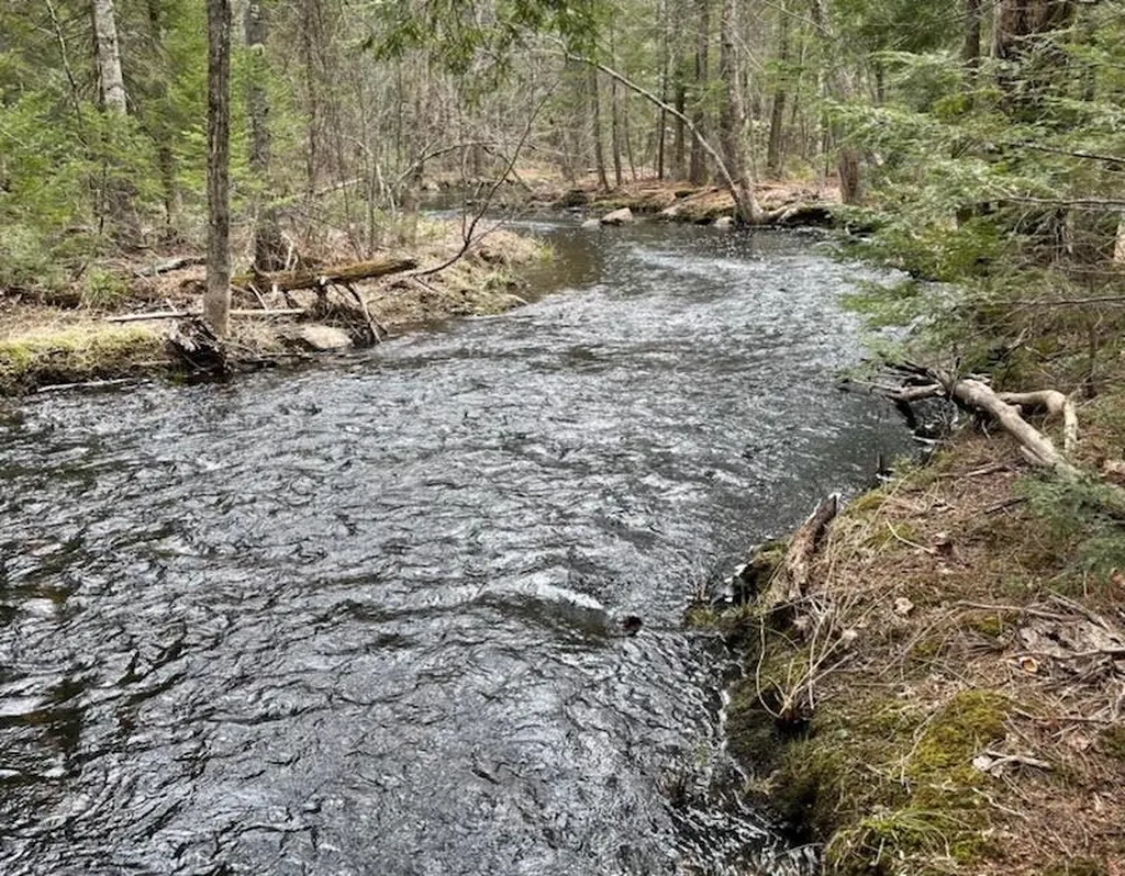 15 Adams Way Middleton NH 03887