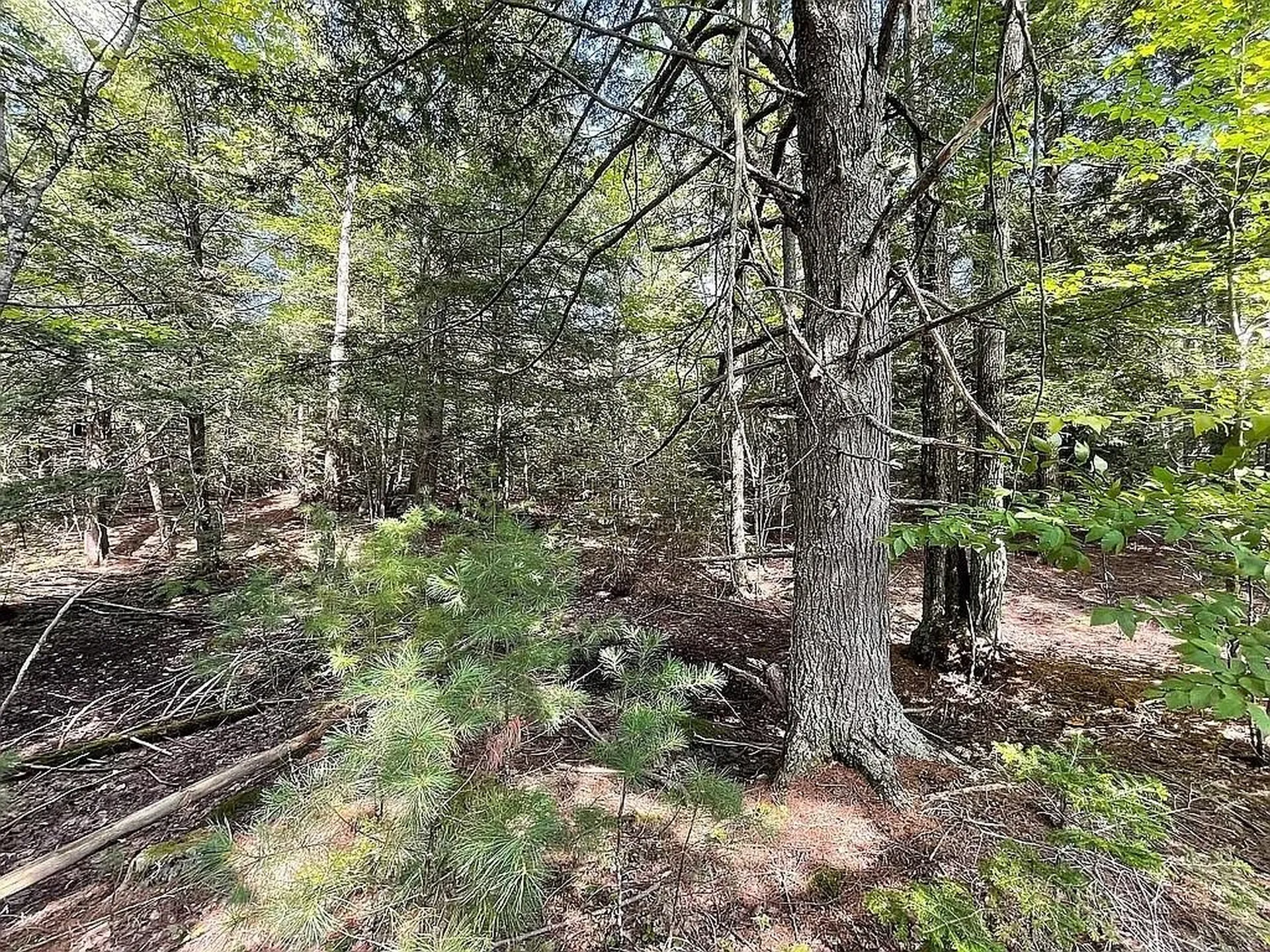 15 Adams Way Middleton NH 03887