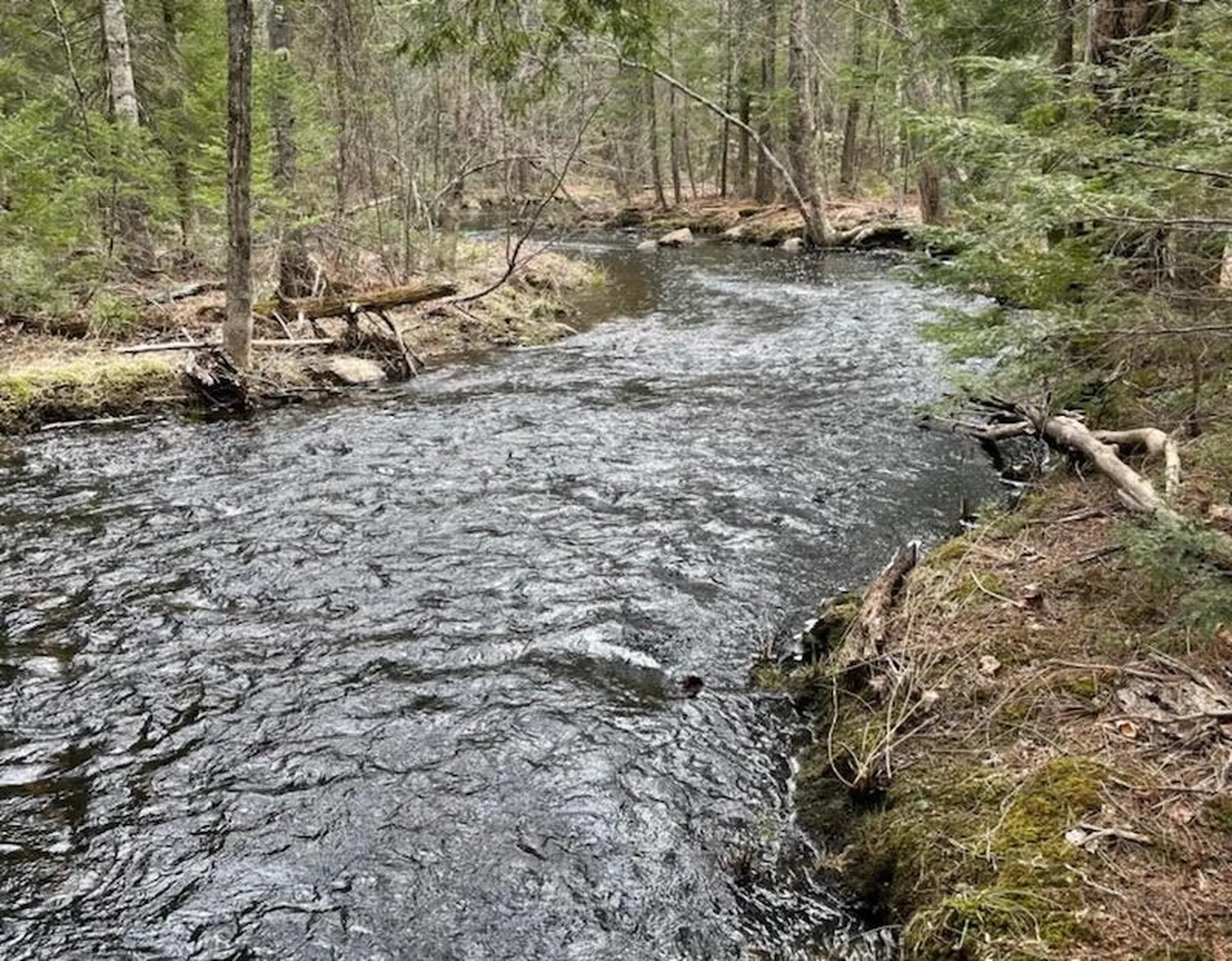 15 Adams Way Middleton NH 03887