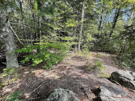 15 Adams Way Middleton NH 03887