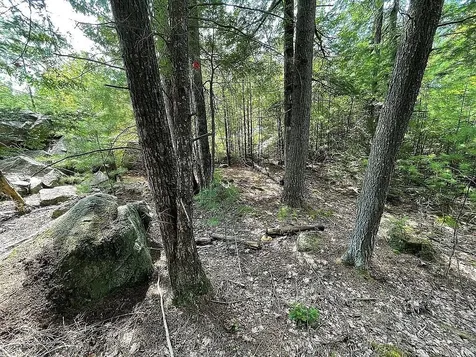 15 Adams Way Middleton NH 03887