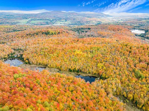 1810 Route 58 Irasburg VT 05845