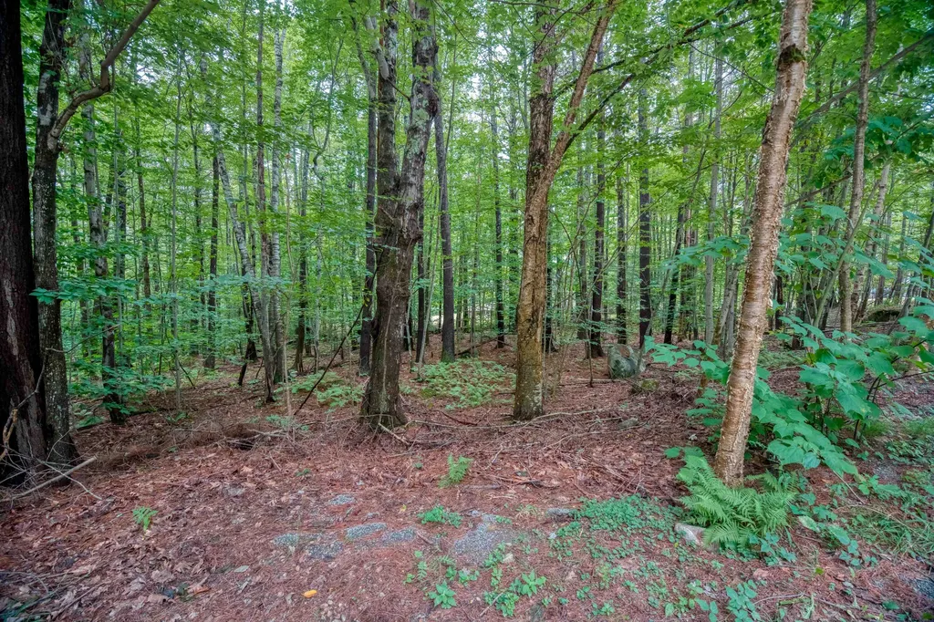 1 Sagamore Ridge Road Tuftonboro NH 03816