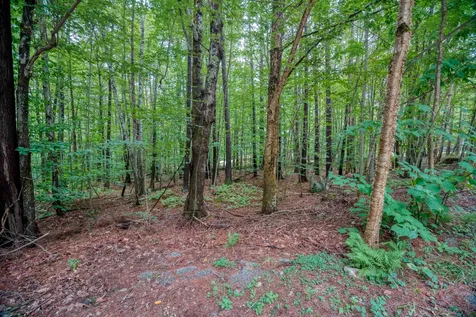 4 Sagamore Ridge Road Tuftonboro NH 03816
