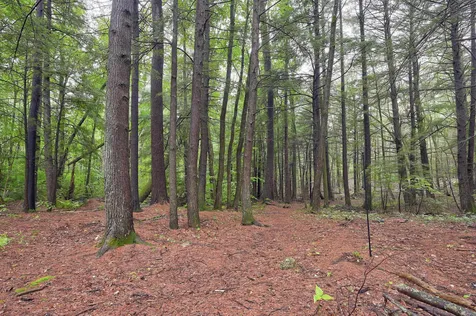 18 Abbey Lane Conway NH 03818